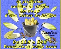 Cultivez vos chicons à la maison Cultivez vos chicons à la maison