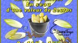 Cultivez vos chicons à la maison