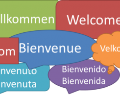 Secteur accueil, coordination, santé communautaire et entretien Secteur accueil, coordination, santé communautaire et entretien